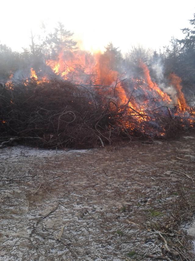 Controlled Burn Woodville Road 02/03/13