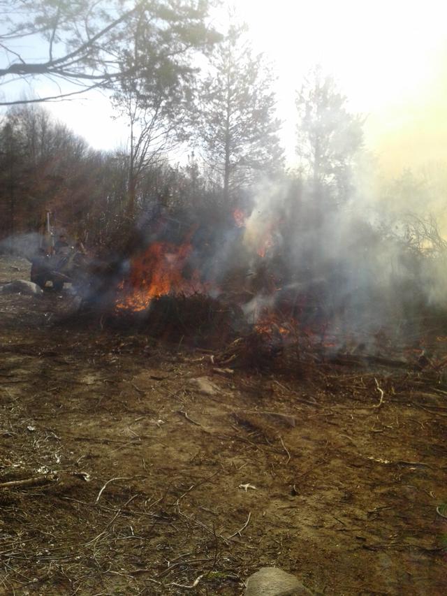 Controlled Burn Woodville Road 02/03/13