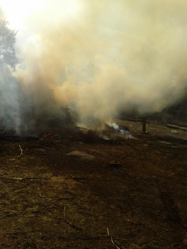 Controlled Burn Woodville Road 02/03/13