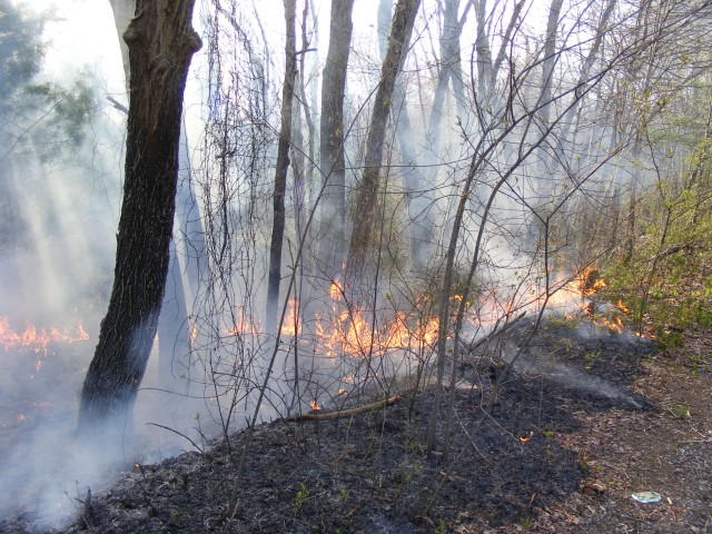 Brush fire on Narragansett Way 4/29/2009