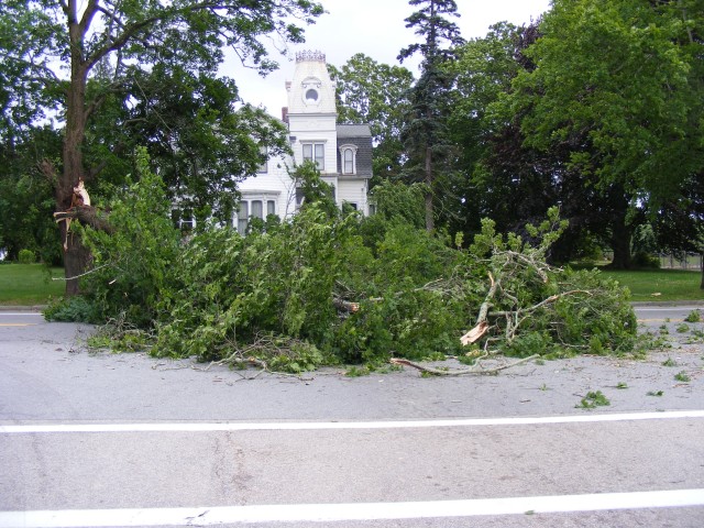 Large tree that came down at High and Main Street. 6/21/2009 