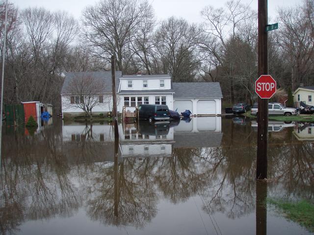 Hillside Avenue looking across Laurel Street. 3/31/10