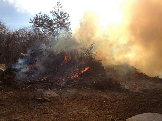 Controlled Burn Woodville Road 02/03/13